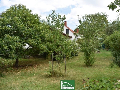 Ländliche Idylle im Burgenland: Charmantes Landhaus mit 4 Zimmern, 130 m², Garten, Terrasse, u.v.m. - JETZT ANFRAGEN