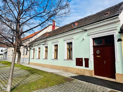 Altbaujuwel im Herzen von Pfaffstätten mit tollem Garten