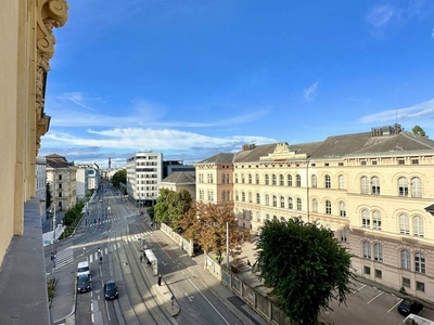 Nur noch bis 31.08. vermietet! Unverbaubarer Blick auf historische Gebäude u. altes AKH I ca. 3,40m Raumhöhe I Öffis direkt vor der Tür I