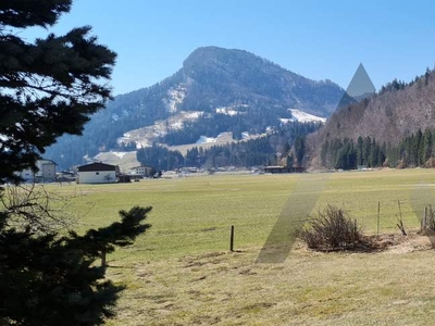 Sonniges Grundstück mit Altbestand in ruhiger Lage