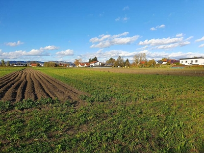 Baugrund Parzelle 3 Leumühle 103 Neuparzellierung Pupping Alexanfeld III