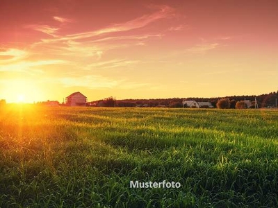 Einfamilienhaus mit Landwirtschafts- und Waldfläche