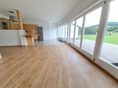 Großzügige 3 Zi.-Wohnung mit Terrasse und Fernblick