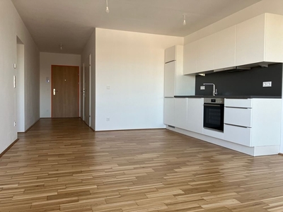 RIVUS VIVERE - ERSTBEZUG inkl. KÜCHE: Moderne 2-Zi-Wohnung mit BALKON im 6. Stock, Haus 3/Top 56