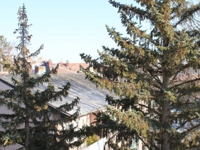 Fein Klein Mein! Leben und Wohnen in Baden! Vöslauer Straße in Zentrumsnähe!