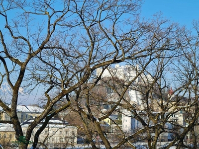 Sonnige Maisonette direkt am Salzachkai