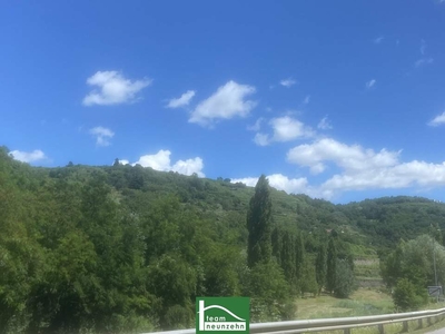 Naturparadies vor der Haustür - Sonnige Terrasse, Grünblick - Coole Wohnung mit Weinkeller