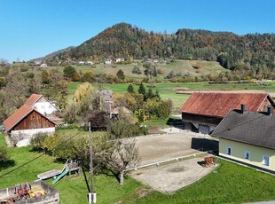 Einladendes, renoviertes Bauernhaus mit Reiterhof in Gallizien