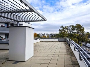 Moderne 3-Zimmer-Wohnung in Neubau mit großer Terrasse