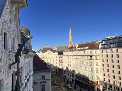 FANTASTISCHES PENTHOUSE IM HERZEN VON WIEN