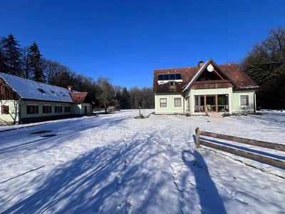 Alleinlage in Salsach - Gemeinde Deutsch Goritz mit großem Grund und Wald