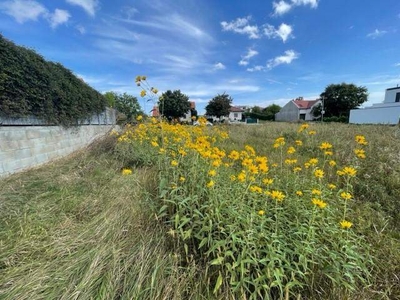 Baugrundstück in Neusiedl am See