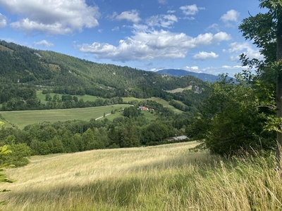 Landwirtschaftliche genutzte Flächen