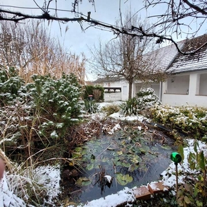 Gepflegtes. idyllisches Haus mit Arkaden in ruhiger Lage