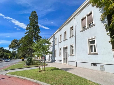 Mieten Sie Ihr 239 m² Büro in Wiener Neustadt zum unschlagbaren Preis!