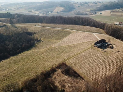 Preissenkung - Slowenien - 8,5 ha Wein, 3,5 ha Wald - Aussichtslage mit Abbruchhaus!