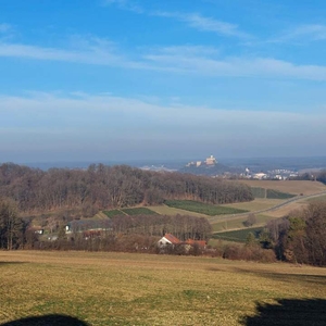 Grundstück mit traumhaftem Burgblick in sehr begehrter Güssinger Wohngegend