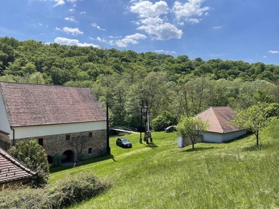 UNGARN!! 4,6 Hektar Eigengrund - ehemalige Mühle mit saniertem Wohnhaus- unmittelbar an der Österreichisch-Ungarischen Grenze