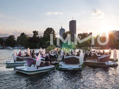 Top-Ausblick über Kaisermühlen, Alte Donau und Neue Donau