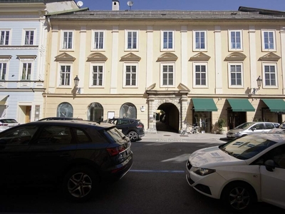 Herschaftliche Wohnung im Palais Ursenbeck