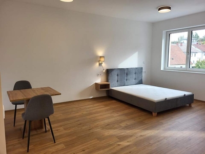 Möbliertes 1-Zimmer-Apartment mit Loggia € 490,- inkl. BK, HK, Strom u. Wlan