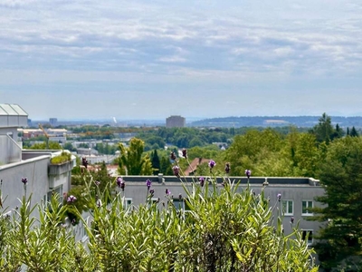 Gemütliche und Helle Wohnung am Linzer Froschberg