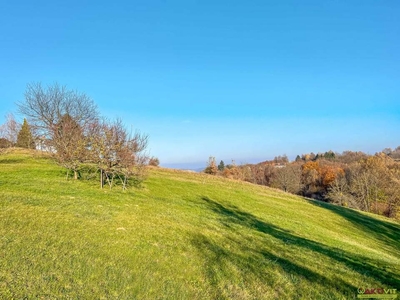 Naturnahes Wohnbau-Grundstück. - Mit Wald-Anteil. - 5 Min. vor Jennersdorf.