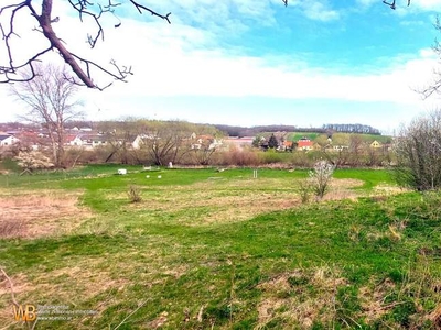 Baugrundstück 1747m² mit exklusivem Zugang zur Leitha, großem Garten, ideal für Huftiere, Enten (netto ca.500m² verbaubar)