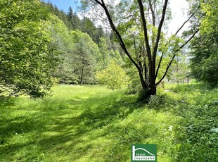 NEUER PREIS! Altbestand auf wunderschönem Grundstück, gesamt ca. 4.700m² (Bauland/Wiesen/Wald) beim Wald nach der Hermannshöhle in absoluter Ruhe- & Naturlage.