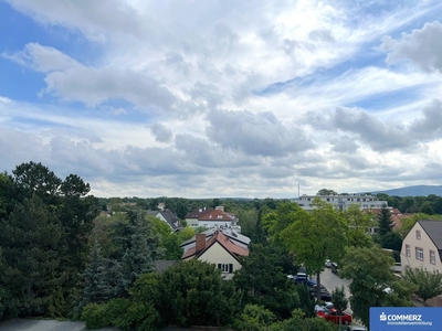 Elegantes Eigentum mit Grünblick