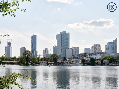 Nähe UNO-City und traumhafter alter Donau!