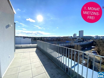 1. MONAT MIETZINSFREI - Dachterrasse mit traumhaftem Blick über Wien!