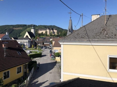 Eine ansprechende 45 m² Dachgeschoss-Wohnung mit Blick auf die Burg Grein