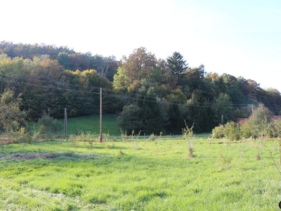 Thermenregion Südburgenland: absolute Ruhelage! Ebenes, sonniges Baugrundstück, 2684m²