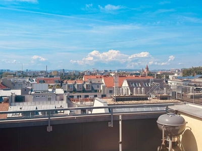 1220! Sonniges 4-Zimmer DG mit Balkon, großer Dachterrasse und phantastischem Blick über Wien!