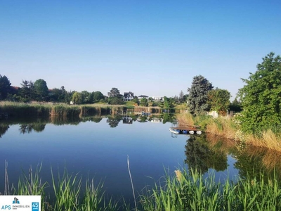 Einzigartige Idylle - Grundstück direkt am See - Grundfläche ca. 600 m² - Haus ca. 80 m² - an Wiener Stadtgrenze