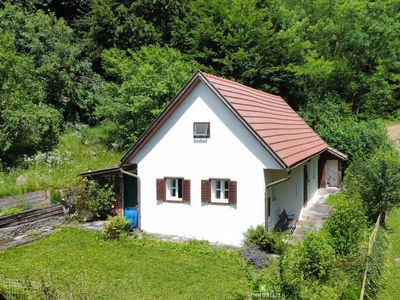 NATUR PUR: kleines Wohnhaus in ruhiger Waldrandlage