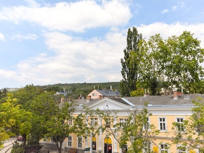 Altbauwohnung Nähe Nußdorfer Platzl