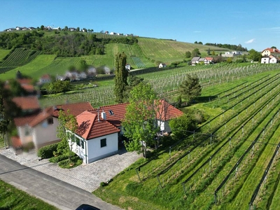 Haus in Eisenberg an der Pinka zu kaufen - 1669/1749