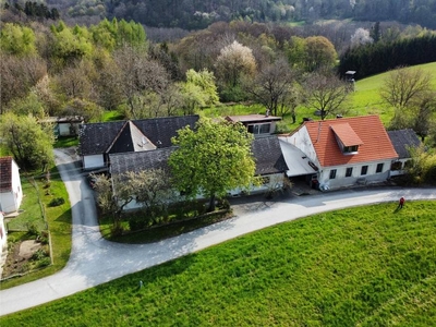 Haus in Neuhaus am Klausenbach zu kaufen - 1605/4809