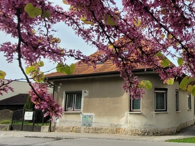 Leobersdorf - Althaus mit Garten