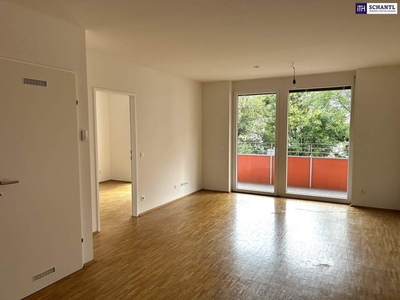 Eine schöne, helle Mietwohnung ideal geeignet für eine Einzelperson, oder auch für zu Zweit! Balkon mit Grünblick und sensationell niedrige Heizkosten!