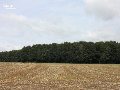 Landwirtschaftlich genutzte Grundstücke in 3300 Amstetten!!!