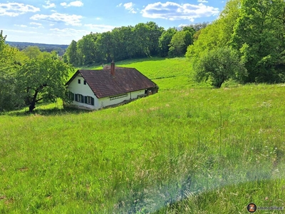 Oberdorf: Großes Grundstück mit sehr sanierungsbedürftigem Bauernhaus in traumhafter Lage