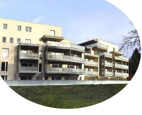 Top Wohnung im EG mit großer Terrasse