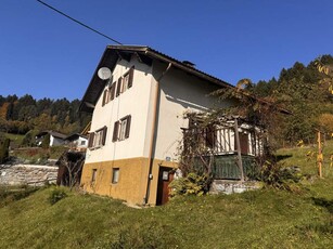 Sanierungsbedürftiges Haus mit Potential!