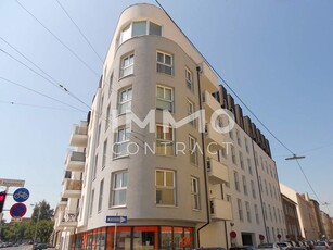 **AB MITTE JÄNNER** 3-Zi Wohnung in der Raimundstraße - ideal für 