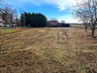 IDYLLISCH IN TOP ORTSRAND RUHELAGE MIT NEUSIEDLER SEE-BLICK