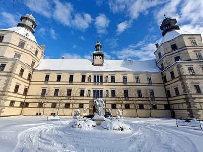 Prunkvolles Schloß mit Park und Schloßteich