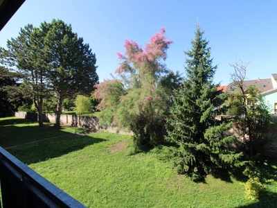 Erdgeschosswohnung mit Loggia in Bruck/Leitha